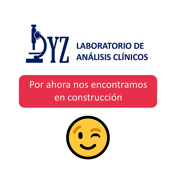 DYZ - En Construccion